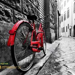 پوستر دیواری دوچرخه طرح هنری-کدpd2154