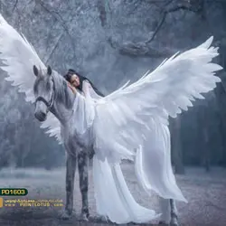 پوستر دیواری اسب طرح هنری-کدpd1603