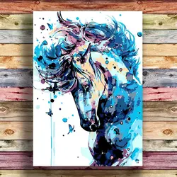 پکیج رنگ آمیزی کد RA145