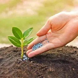 کود گیاهان آپارتمانی نازبو - NPK 20-20-20 پودری