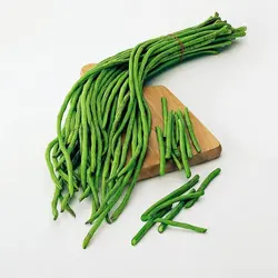 بذر لوبیا گیتا یا لوبیا سبز بلند و نحوه کاشت آن