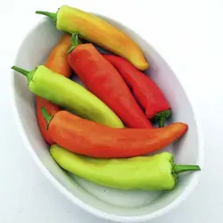بذر فلفل مجارستانی تند و نحوه کشت