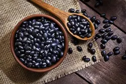 بذر لوبیا سیاه و نحوه کاشت آن