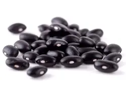 بذر لوبیا سیاه و نحوه کاشت آن