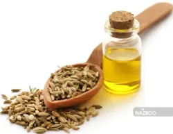 بذر گیاه دارویی رازیانه یا سبزی فنل