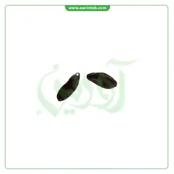 ترکیب گیاهی رفع کیست تخمدان آورین