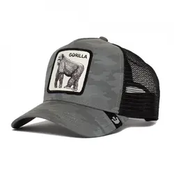 کلاه SILVER BACK | GOORIN