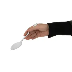 قاشق غذا خوری | SPOON