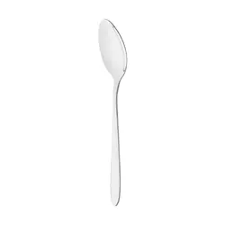 قاشق غذا خوری | SPOON