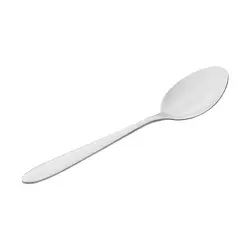 قاشق غذا خوری | SPOON
