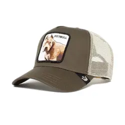 کلاه PITBULL | GOORIN