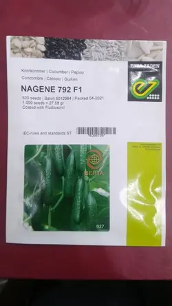بذر خیار گلخانه ای ناگین