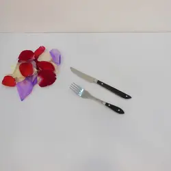 ست کارد و چنگال Y013