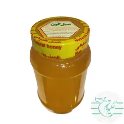 عسل گون ارگانیک و طبیعی 1000 گرمی - عطاری آنلاین حکیم باشیم