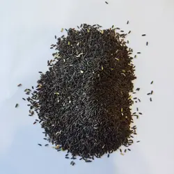 خرید تخم بالنگو 100 گرمی با کیفیت بالا+خواص - عطاری آنلاین حکیم باشیم