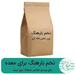 خرید تخم بارهنگ 100 گرمی - عطاری آنلاین حکیم باشیم