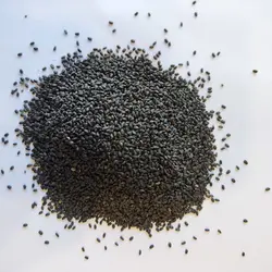 خرید تخم ریحان کاشتی 100 گرمی - عطاری آنلاین حکیم باشیم