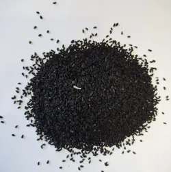 خرید سیاهدانه 100 گرم - عطاری آنلاین حکیم باشیم