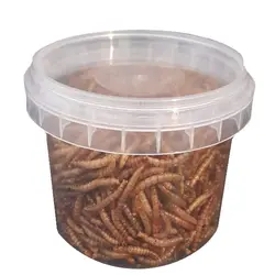 کرم میل ورم mealworm