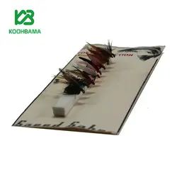 پک پشه نیمف nymphe استاد سعید ساهر 6 عددی - فروشگاه کوه باما