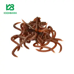 کرم مصنوعی Baohua رنگ خاکی