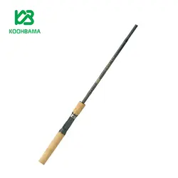 چوب ماهیگیری دو تکه Fenwick Eagle GT سایز 180