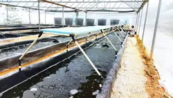 قفسه گلخانه ای لوله و اتصالات - قفسه و رگال میزان کاران