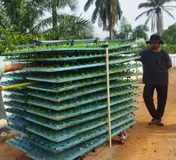 قفسه گلخانه ای لوله و اتصالات - قفسه و رگال میزان کاران