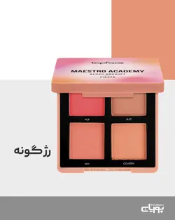 پالت رژگونه مستر آکادمی تاپ فیس _ Pt355 Maestro Academy