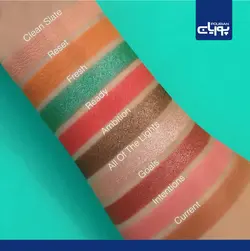 پالت صورت (هایلایتر و رژگونه) مینی میکس اوفرا گود تو گو _ Ofra Mini Mix Face Palette-Good To Go