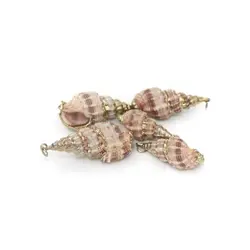 خرید صدف طبیعی کد 10 - فروشگاه صافی خیرخواه