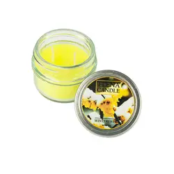 قیمت و خرید شمع معطر النا رایحه گل یخ – 70 گرم &mdash; سره گالری