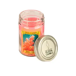 قیمت و خرید شمع معطر النا رایحه مرجان - 200 گرم &mdash; سره گالری