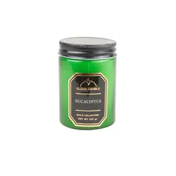 قیمت و خرید شمع معطر النا سری اونیکس با رایحه اکالیپتوس – 225 گرم &mdash; سره گالری