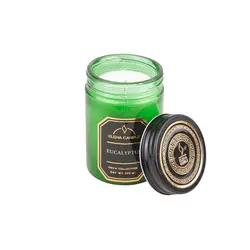 قیمت و خرید شمع معطر النا سری اونیکس با رایحه اکالیپتوس – 225 گرم &mdash; سره گالری