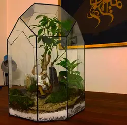 تراریوم شیشه چند وجهی با منظره مرد ماهیگیر