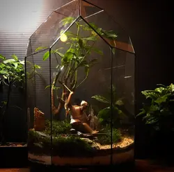 تراریوم شیشه چند وجهی با منظره مرد ماهیگیر