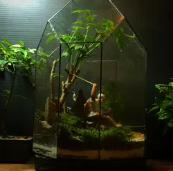 تراریوم شیشه چند وجهی با منظره مرد ماهیگیر