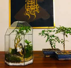 تراریوم شیشه چند وجهی با منظره مرد ماهیگیر