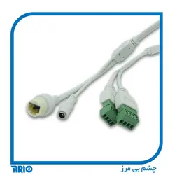 دوربین مداربسته دام تحت شبکه رستر 4300VDH - آریو