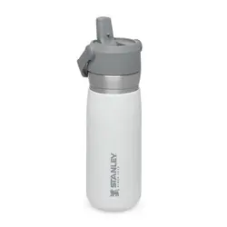 قمقمه 650 میلی لیتری مدل Stanley - Go Flip Straw Water Bottle