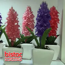 سنبل گلدانی سفره هفت سین