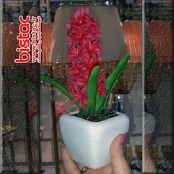 سنبل گلدانی سفره هفت سین