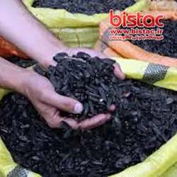 تخمه سياه آفتاب‌گردان شمشیری شور شهرستان خوي -  – يك كيلوئي