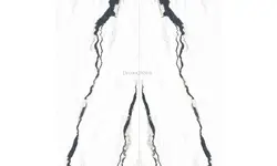 سرامیک اسلب پاندا 320*160 فاوانیا