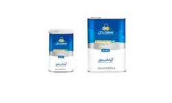 رزین 4 لیتری (بی رنگ) - (ARYA RESIN-801)