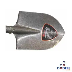 بیل معمولی بوفالو