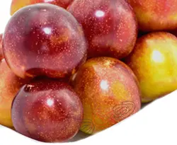 آلو درجه 1 - فروشگاه اینترنتی دو جی لو