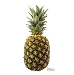 آناناس درجه 1 - فروشگاه اینترنتی دو جی لو