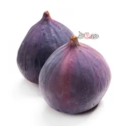 انجیر سیاه درجه 1 - فروشگاه اینترنتی دو جی لو